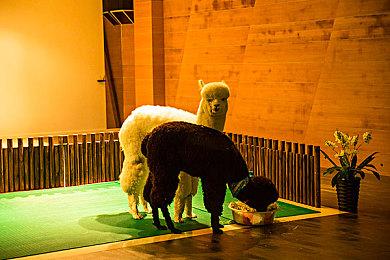 《极乐迪斯科》开发商公布新作Project C4 间谍＆谍战题材